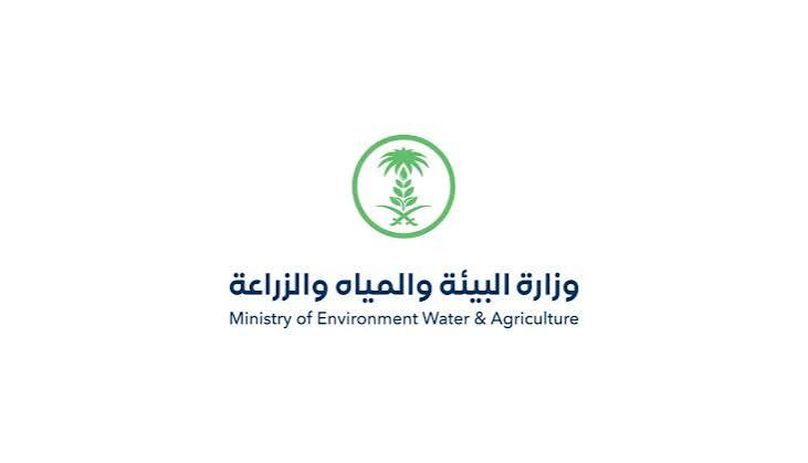 MEWA